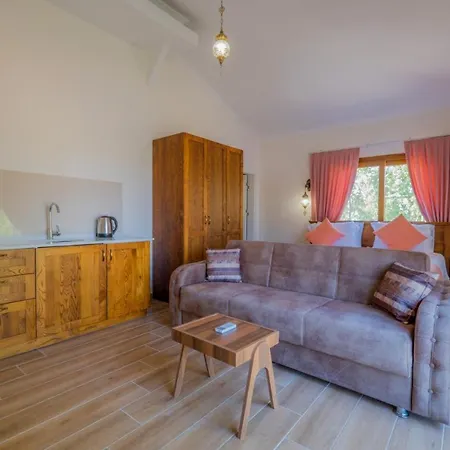 Ada * Φετιγιέ