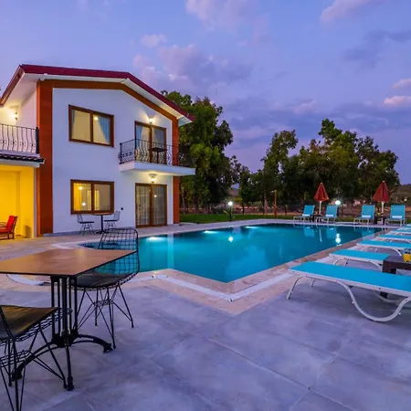 Ada * Φετιγιέ